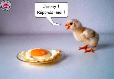 Réponds-moi !